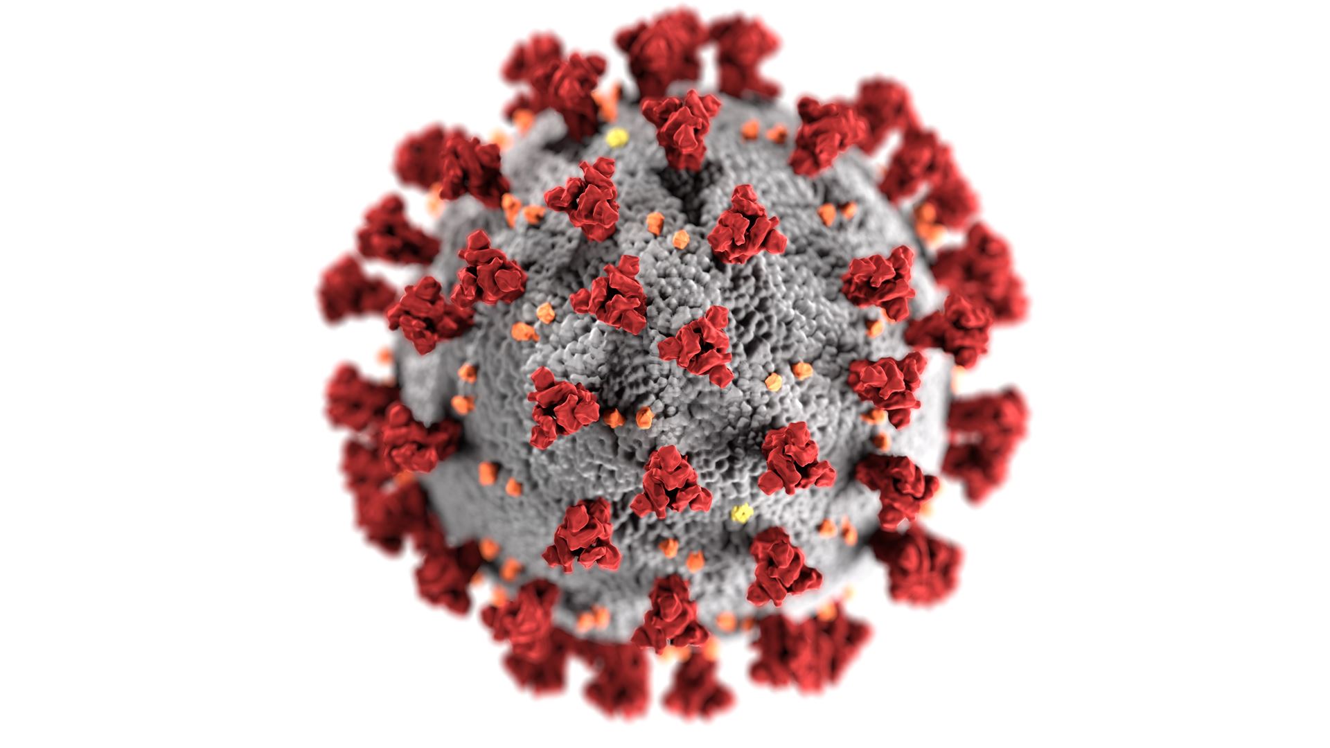 Image of a virus against a white background
